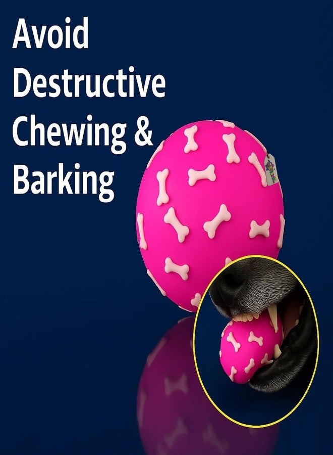 Western Era Squeaky Ball Dog Toy | Bone Print Rubber Ball for Puppies & Dogs | Durable Chew-Safe Toy with Built-in Squeaker | Lightweight Textured Surface for Fetch, Play, and Dental Cleaning - Image 4